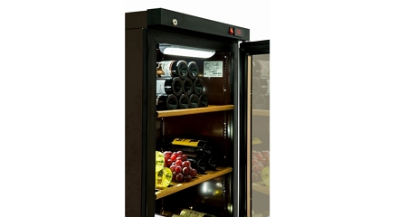 Холодильные шкаф для вина DW104-Bravo - фото 2